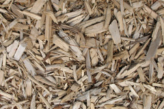 biomass boilers Dreen